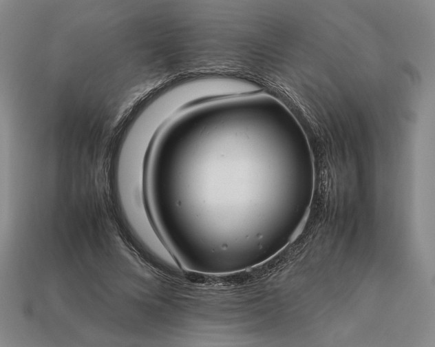 X0000113370688200909291051