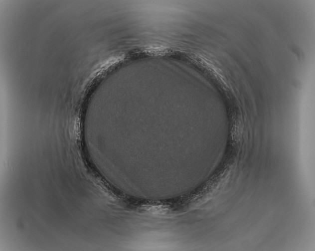 X0000113370689200909291051