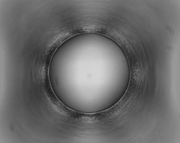 X0000113370690200909291051