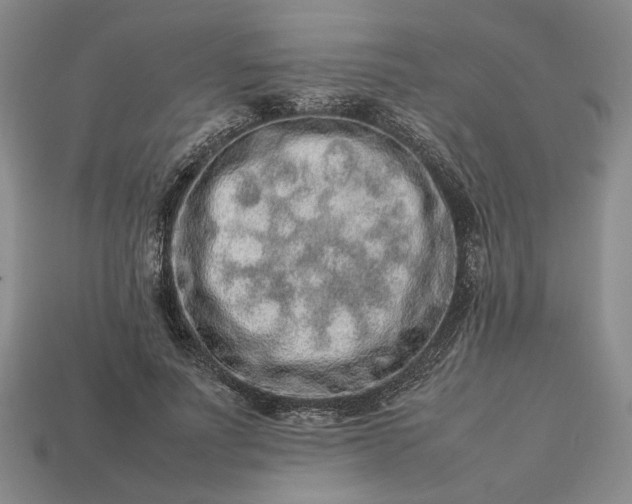 X0000113370691200909291051