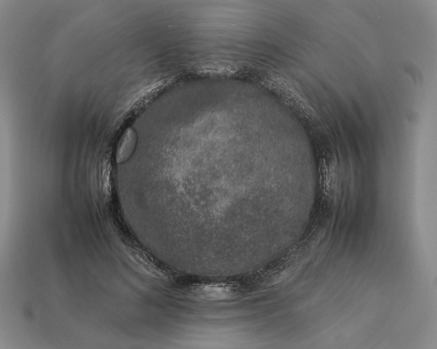 X0000113370692200909291051