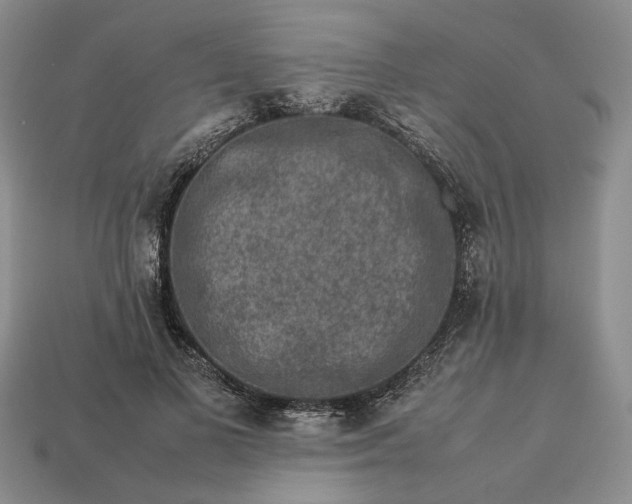 X0000113370693200909291051