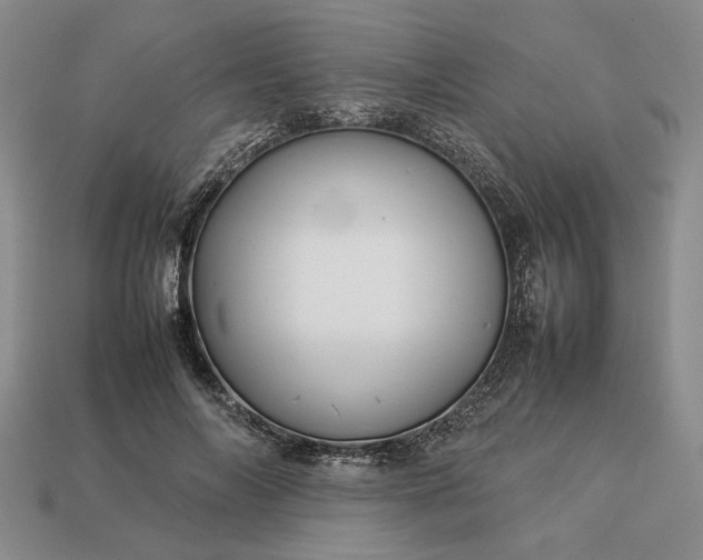 X0000113370694200909291051