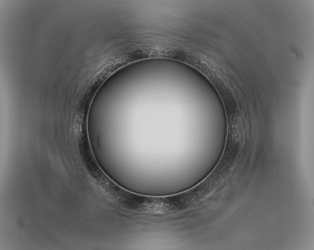 X0000113370695200909291051