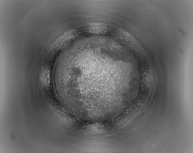 X0000113370696200909291051