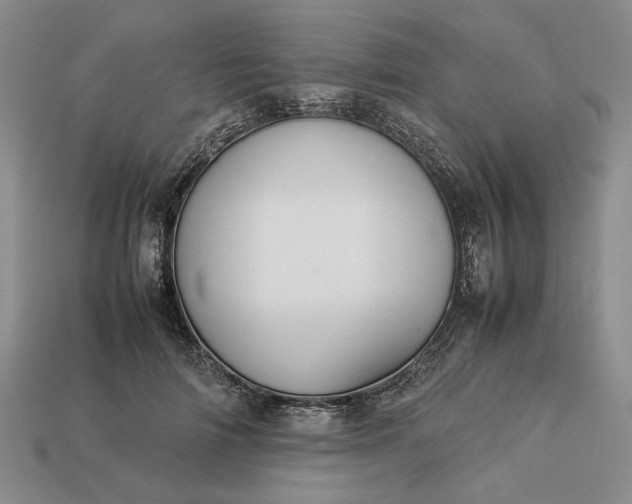 X0000113370698200909291051