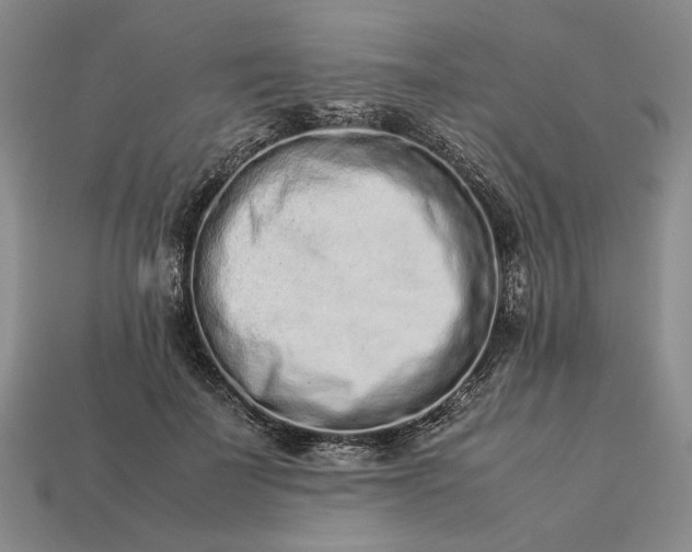 X0000113370699200909291051