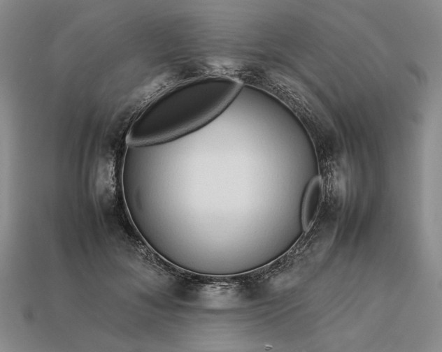 X0000113370700200909291051