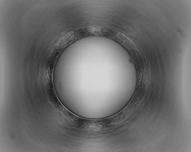 X0000113370702200909291051