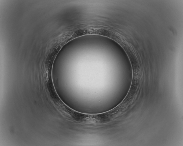 X0000113370703200909291051