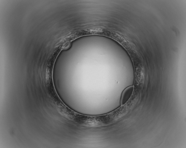 X0000113370704200909291051