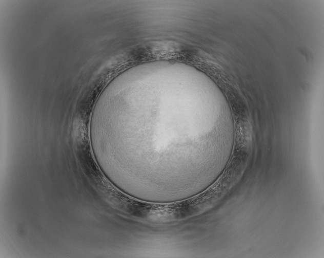 X0000113370705200909291051