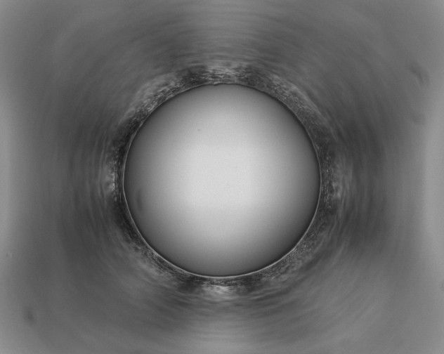 X0000113370706200909291051