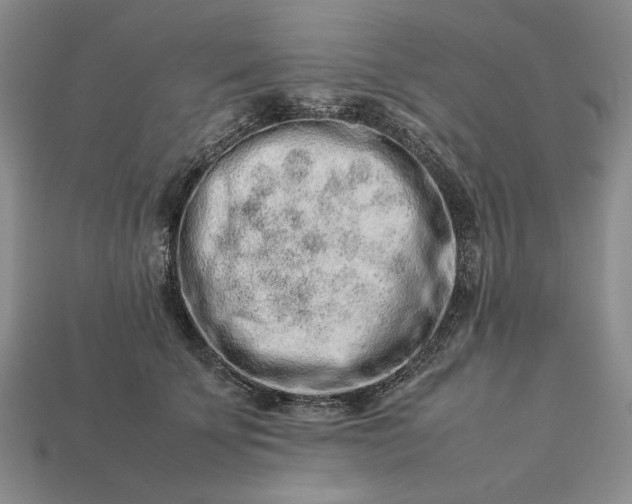 X0000113370707200909291051