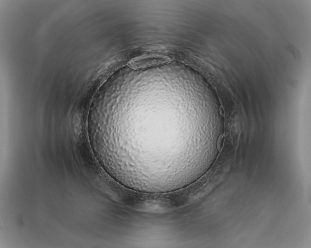 X0000113370708200909291051