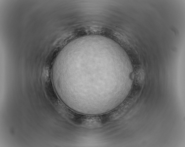 X0000113370709200909291051