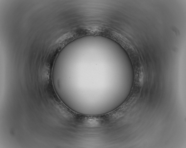 X0000113370710200909291051