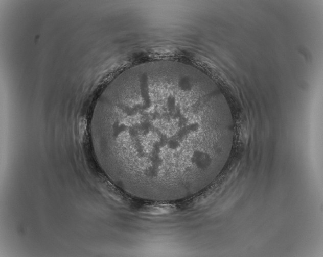 X0000113370711200909291051