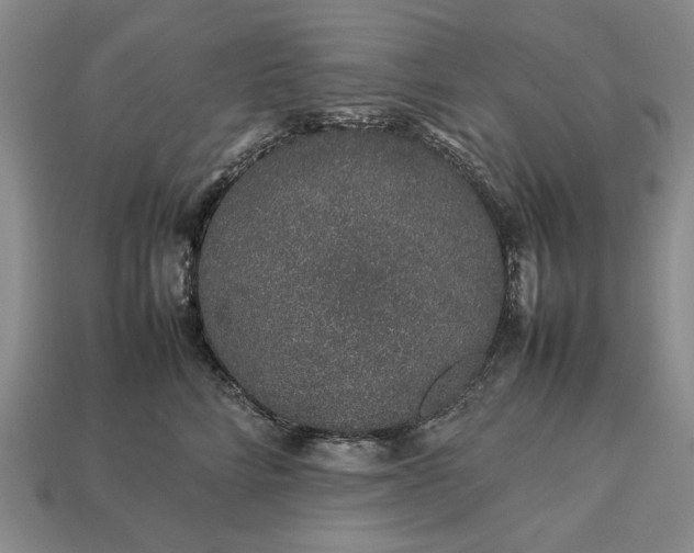 X0000113370712200909291051