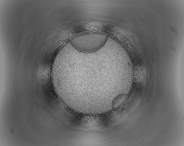 X0000113370713200909291051