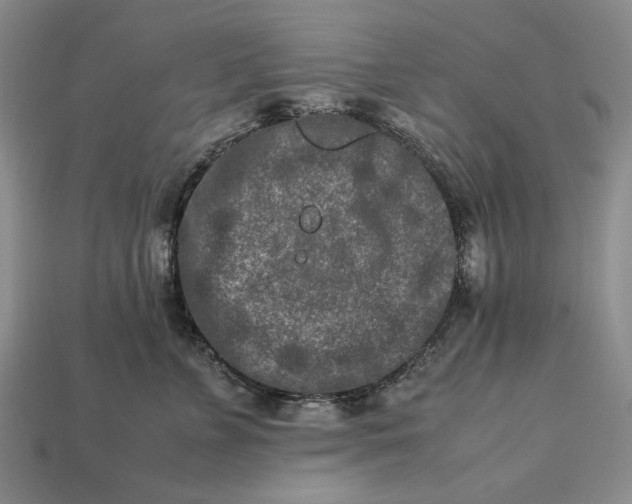 X0000113370715200909291051