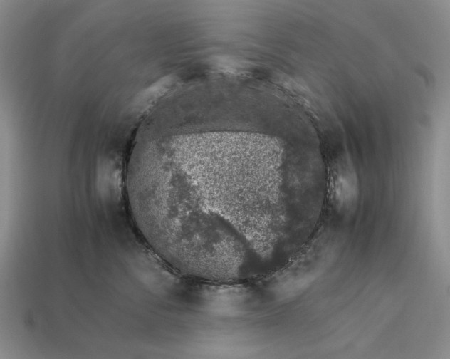 X0000113370716200909291051