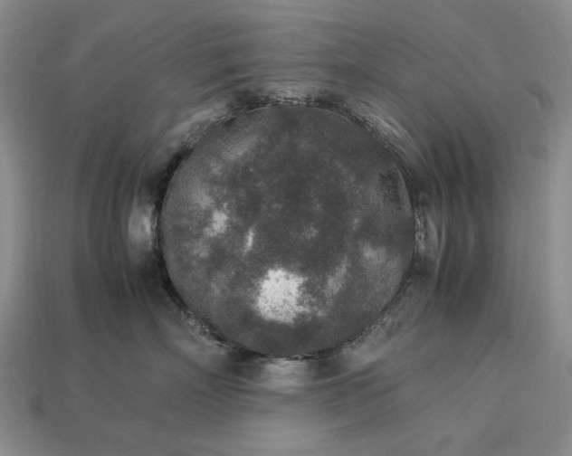 X0000113370718200909291051