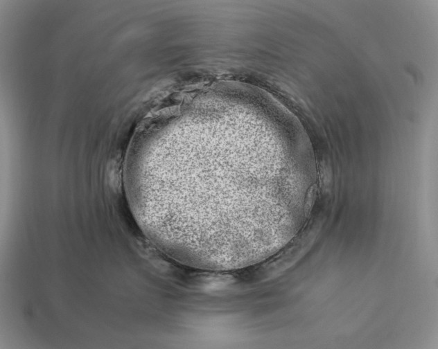 X0000113370719200909291051