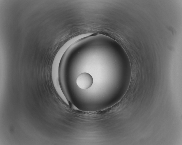 X0000113370720200909291051