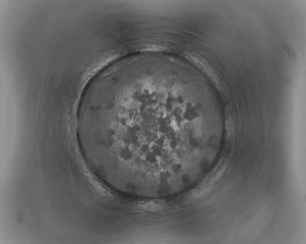 X0000113370721200909291050