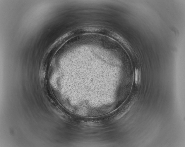 X0000113370723200909291050