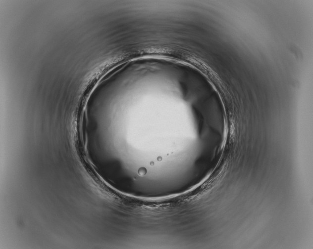 X0000113370725200909291050