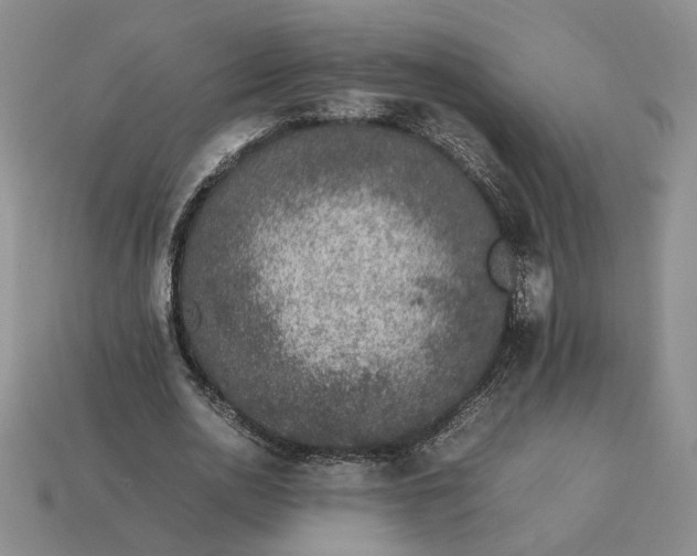 X0000113370726200909291050