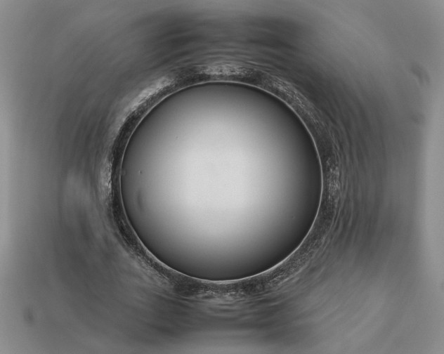 X0000113370727200909291050