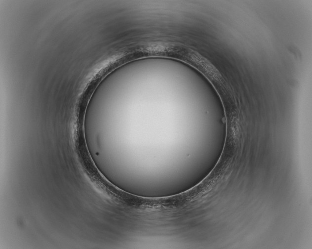 X0000113370728200909291050