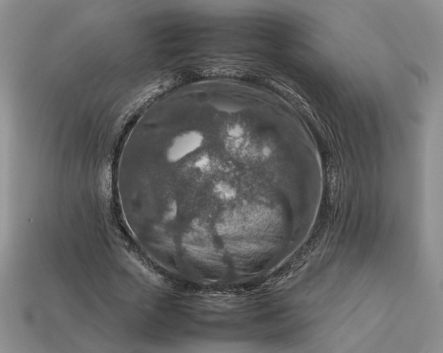 X0000113370729200909291050