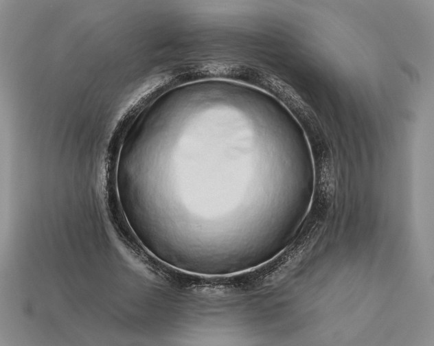 X0000113370730200909291050