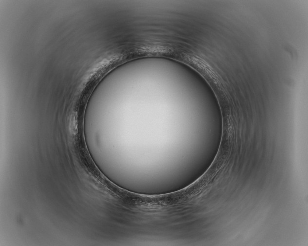 X0000113370731200909291050