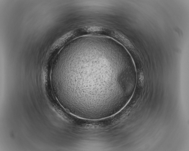 X0000113370732200909291051