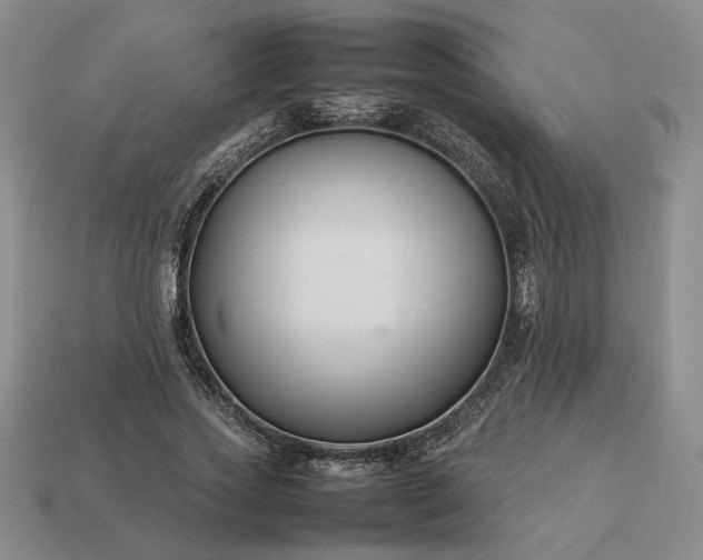 X0000113370733200909291051