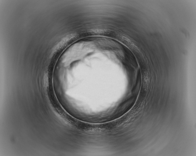 X0000113370734200909291051