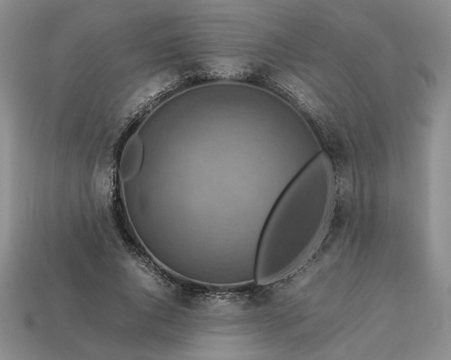 X0000113370736200909291051