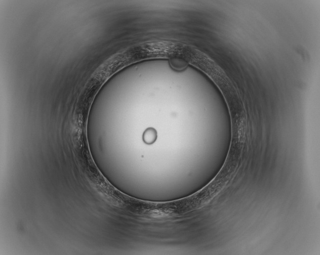 X0000113370737200909291051