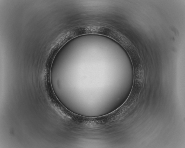 X0000113370738200909291051