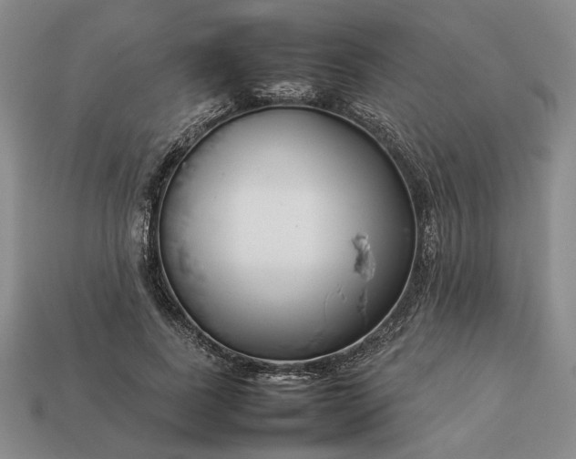 X0000113370739200909291051