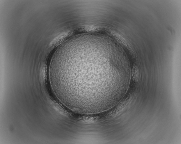 X0000113370740200909291051