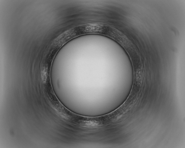 X0000113370741200909291051