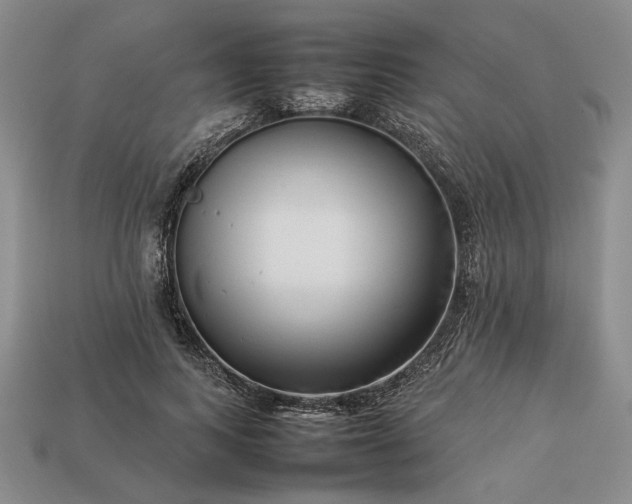 X0000113370743200909291051