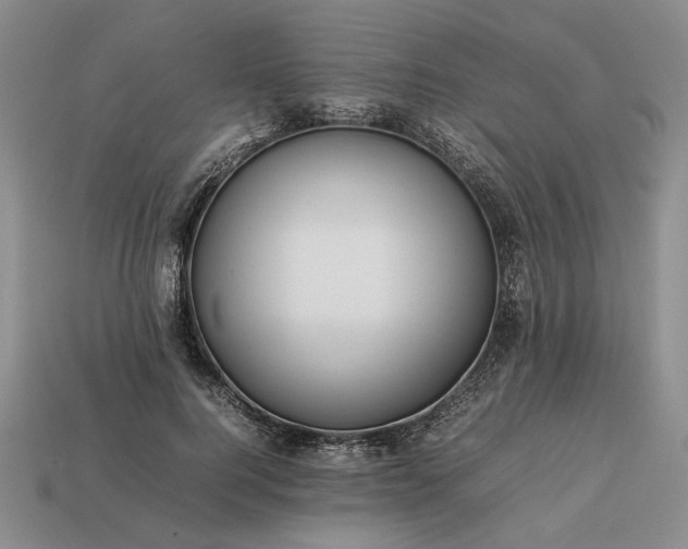 X0000113370744200909291051