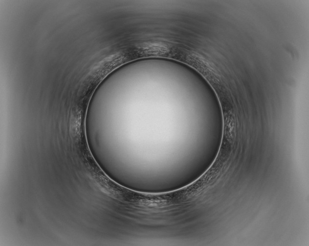 X0000113370745200909291051